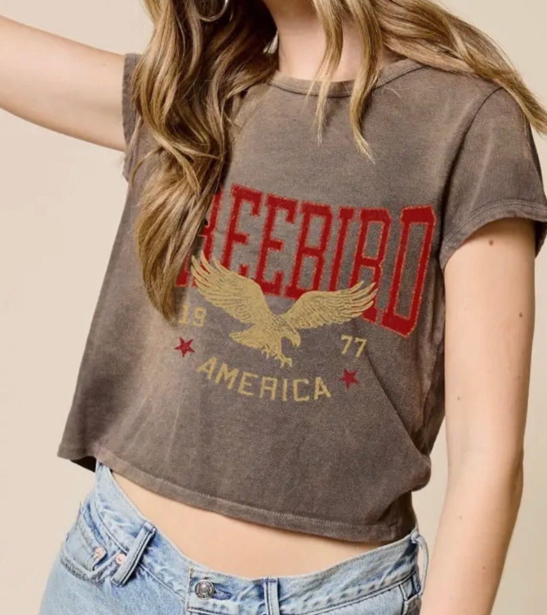 Free Bird Washed Crop Tee